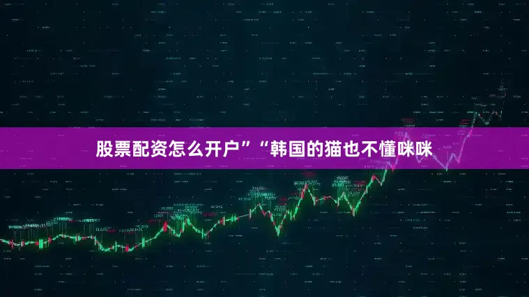 股票配资怎么开户”“韩国的猫也不懂咪咪