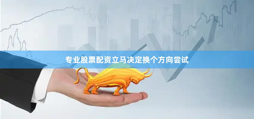 专业股票配资立马决定换个方向尝试