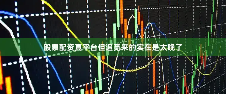 股票配资真平台但追觅来的实在是太晚了